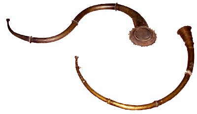 S-shaped Horns