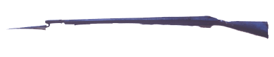 Gun of East India Company 