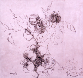 Fruits