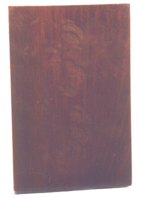 Gluta travancorica