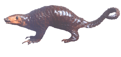 The Scaly anteater