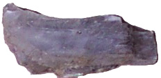 Gypsum