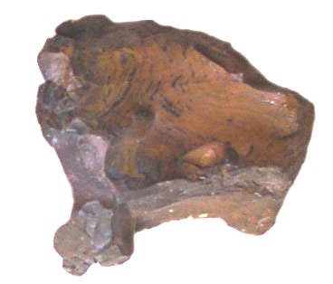 Wood Opal